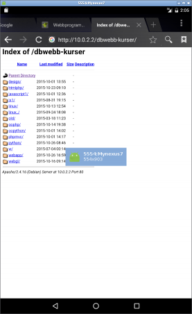 Webbläsaren kopplad till localhost via 10.0.2.2